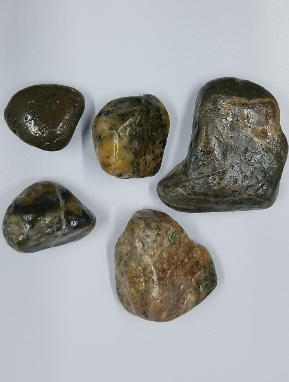 Varnished Rock Specimens - Green Grey Orange Lot